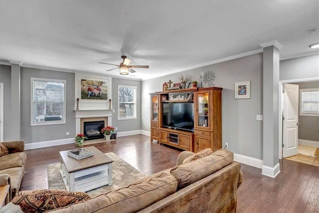 living room with ceiling fan, ornamental molding, dark hardwood / wood-style floors, and a healthy amount of sunlight