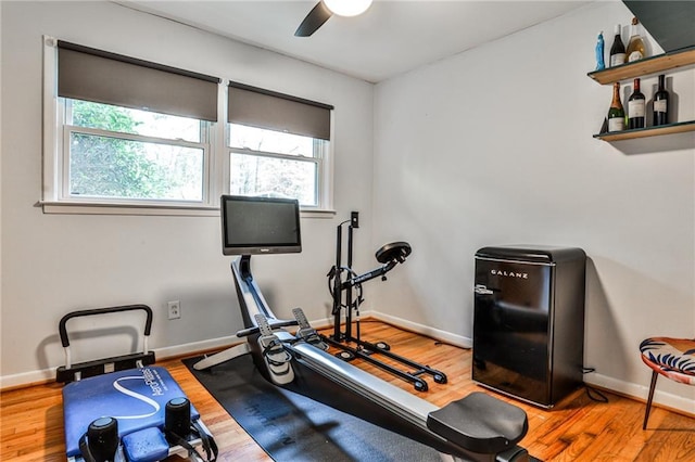 workout area featuring ceiling fan and hardwood / wood-style floors