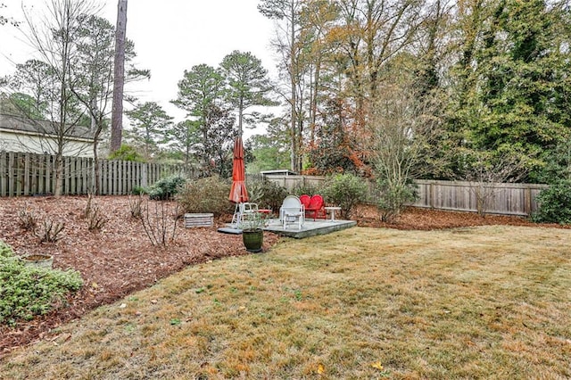 view of yard featuring a patio area