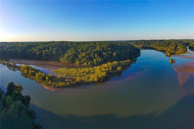 drone / aerial view with a water view and a forest view