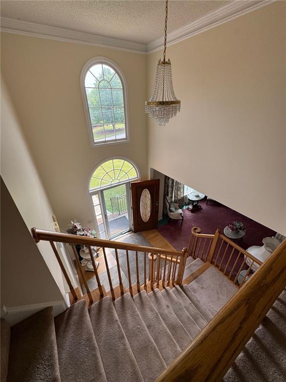2246 Carrington Dr, Ellenwood, GA 30294 - stairway with a wealth of natural light, a textured ceiling, and ornamental molding