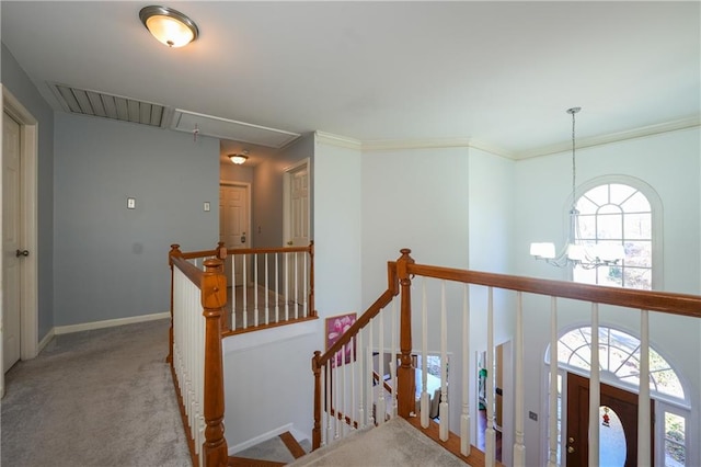 hallway featuring carpet and ornamental molding