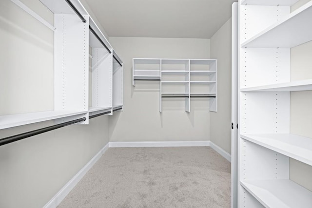 walk in closet with carpet floors