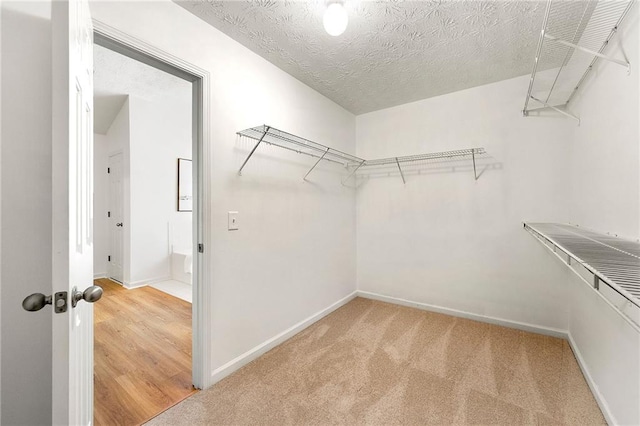 8770 Amberfield Dr, Gainesville, GA 30506 - walk in closet with carpet floors