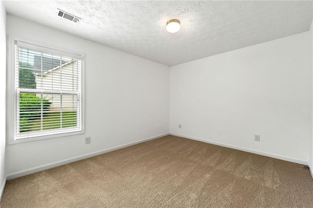 8770 Amberfield Dr, Gainesville, GA 30506 - spare room featuring carpet flooring, healthy amount of natural light, baseboards, and a textured ceiling