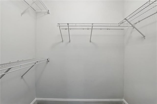 199 Rocky Shoals Trl, Mount Airy, GA 30563 - view of walk in closet