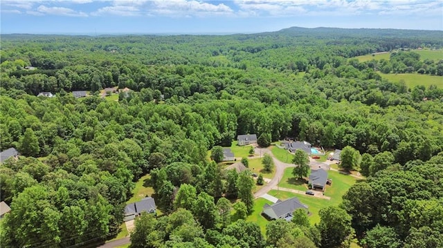 199 Rocky Shoals Trl, Mount Airy, GA 30563 - bird's eye view of a heavily wooded area