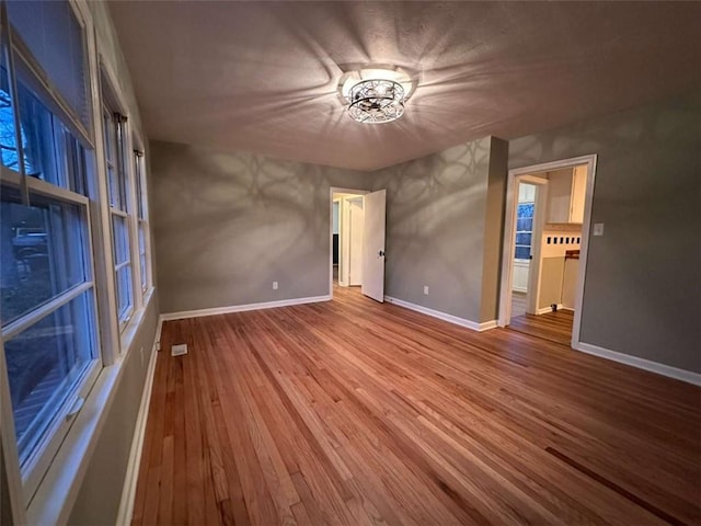 spare room featuring wood-type flooring