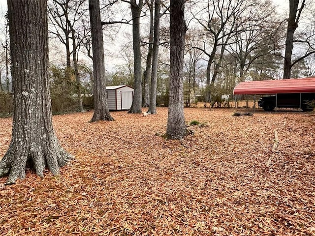 view of yard featuring a carport and a storage shed