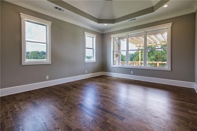 spare room with a raised ceiling, ornamental molding, and dark hardwood / wood-style flooring