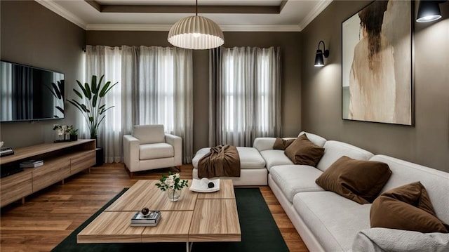 living room with dark hardwood / wood-style floors, crown molding, and a raised ceiling