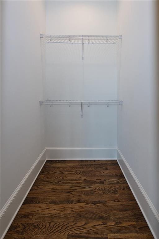 walk in closet with dark hardwood / wood-style flooring