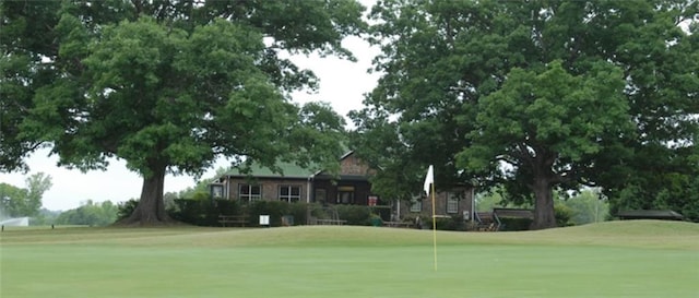 view of community with a lawn