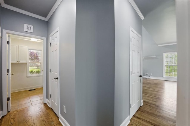 336 Toto Dr, Dawsonville, GA 30534 - corridor with wood finished floors, ornamental molding, and baseboards