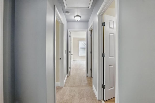 336 Toto Dr, Dawsonville, GA 30534 - corridor featuring baseboards, attic access, and light colored carpet