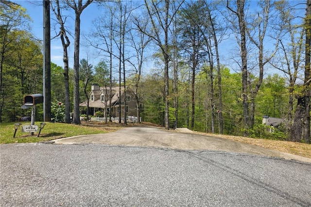 336 Toto Dr, Dawsonville, GA 30534 - view of road with driveway