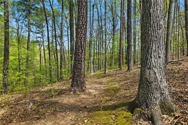336 Toto Dr, Dawsonville, GA 30534 - view of nature with a wooded view