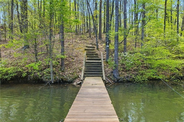336 Toto Dr, Dawsonville, GA 30534 - view of dock featuring stairs