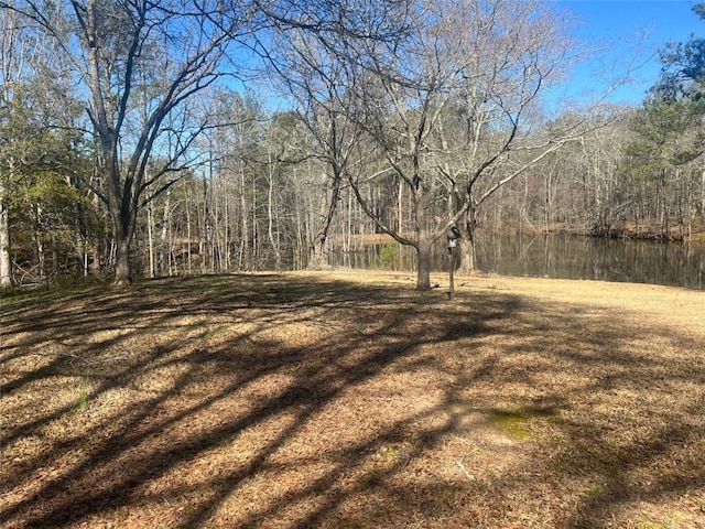 view of yard with a water view and a wooded view