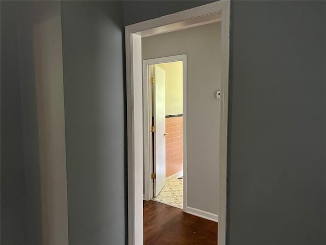 corridor featuring dark wood-style floors