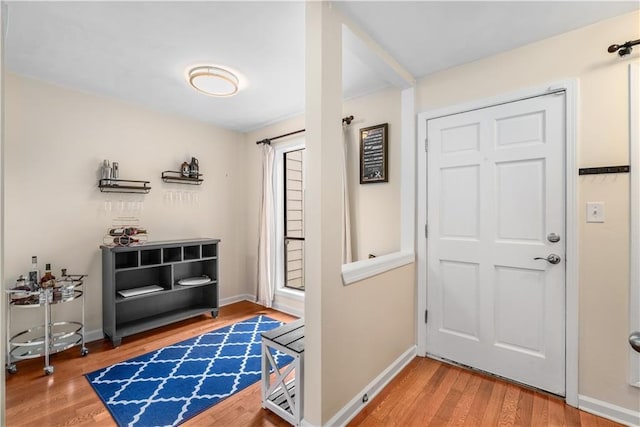 entryway featuring wood-type flooring