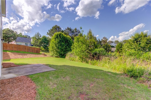 view of yard with a patio area