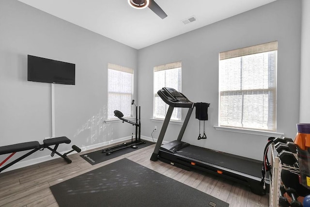 workout room with plenty of natural light, wood finished floors, visible vents, and baseboards