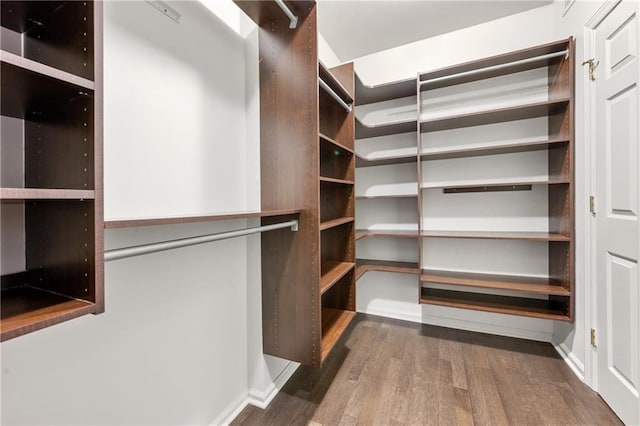 spacious closet featuring dark hardwood / wood-style floors