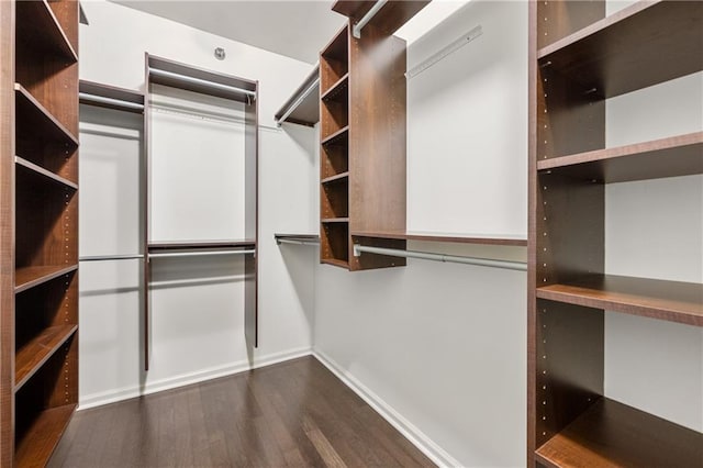 spacious closet featuring dark hardwood / wood-style flooring