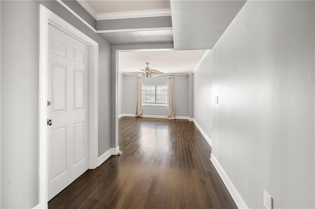 hallway with dark hardwood / wood-style floors and crown molding