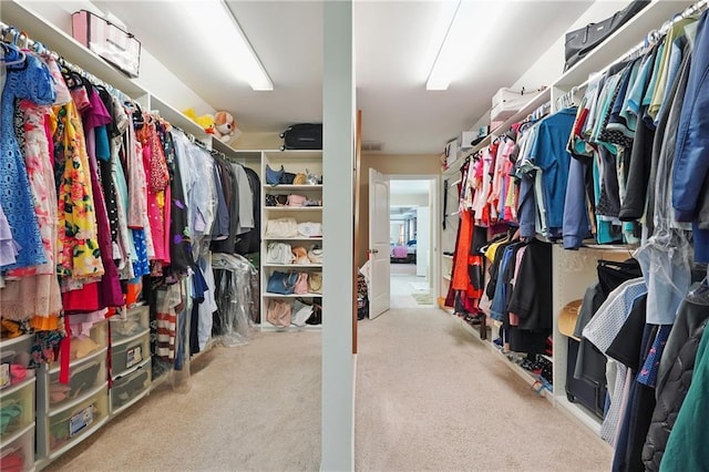 915 Elmsbrook Ln, Alpharetta, GA 30004 - walk in closet featuring carpet