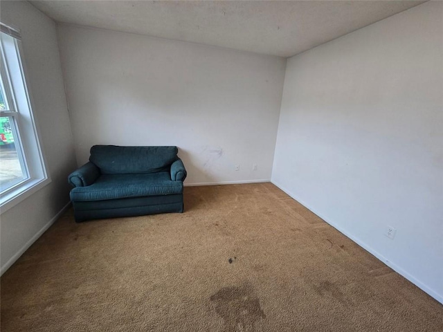 1297 Tree Creek Ct, Clarkston, GA 30021 - living area with carpet flooring and baseboards