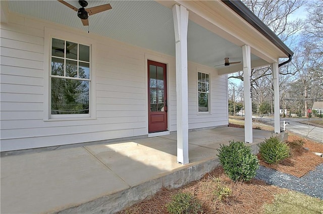 view of patio with covered porch and a ceiling fan