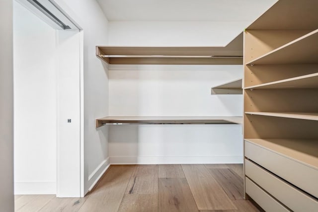 walk in closet with light hardwood / wood-style flooring