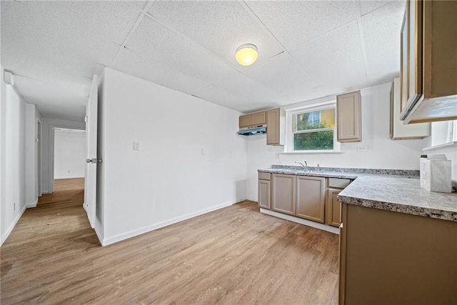 kitchen with light wood-type flooring and sink