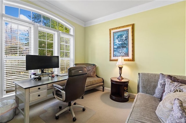 office with carpet flooring, baseboards, and ornamental molding