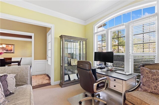carpeted office featuring crown molding and a wainscoted wall