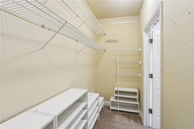 345 Alderwood Ln, Sandy Springs, GA 30328 - spacious closet with carpet