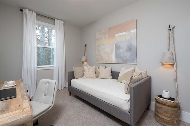 bedroom with carpet flooring