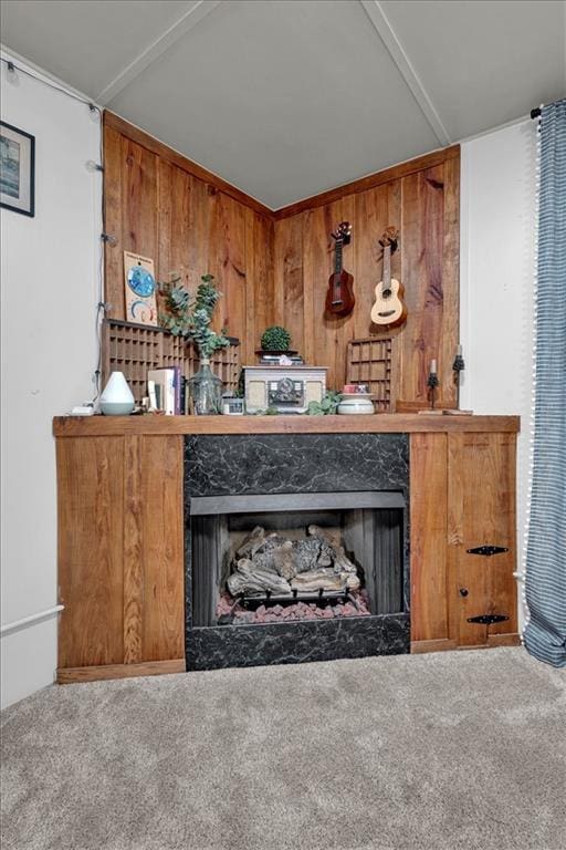 interior details with carpet and wooden walls