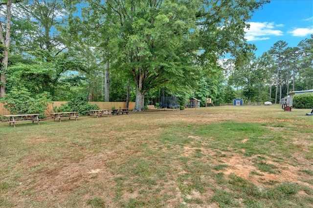 view of yard with a trampoline and a storage shed