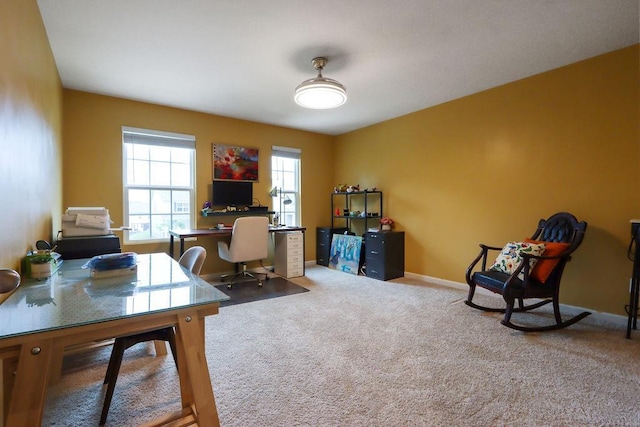 6721 Moondancer Ct, Flowery Branch, GA 30542 - office area with carpet floors and baseboards