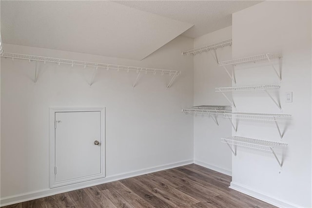 walk in closet featuring dark hardwood / wood-style floors