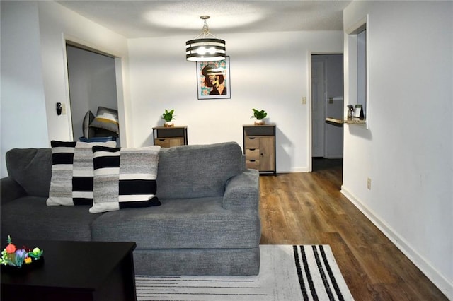 living room with dark hardwood / wood-style flooring