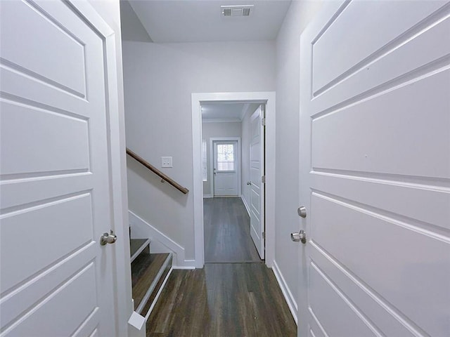 entryway with dark wood-type flooring