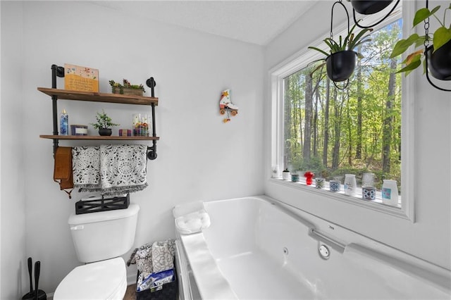 69 Due W Pass, Dallas, GA 30157 - full bathroom featuring toilet and a jetted tub