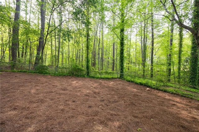 69 Due W Pass, Dallas, GA 30157 - view of nature featuring a wooded view