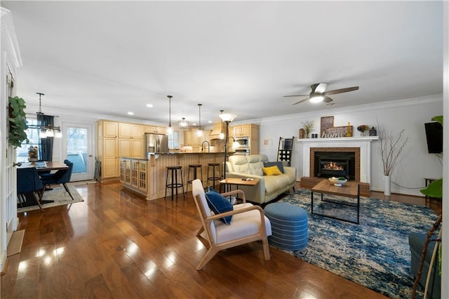 living area featuring ceiling fan with notable chandelier, ornamental molding, a fireplace, and dark wood finished floors