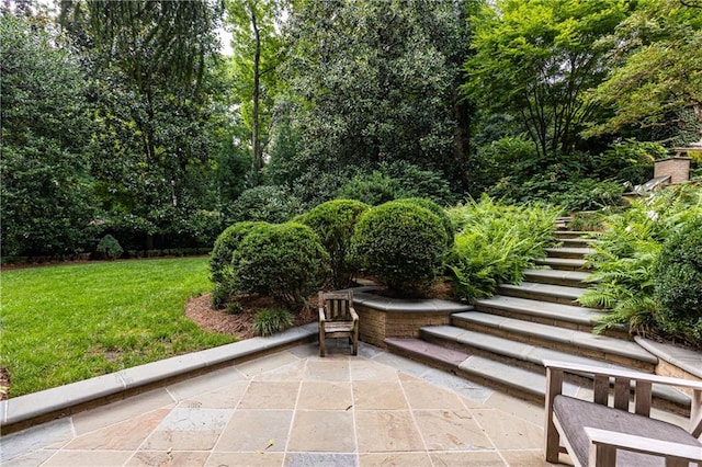 view of yard featuring a patio area