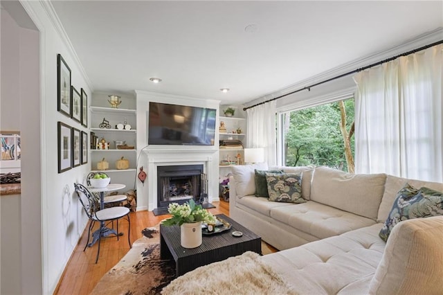3357 Pretty Branch Dr SE, Smyrna, GA 30080 - living room with ornamental molding, light wood-type flooring, and a fireplace with flush hearth